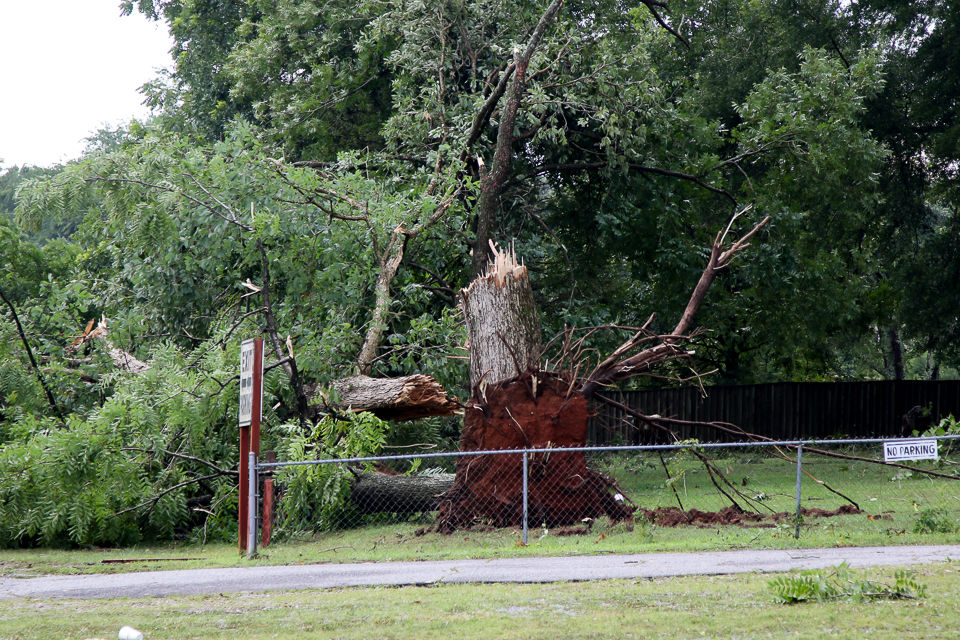 Storm Damage Jamestown Fleamarket 7_20_19-5543.JPG